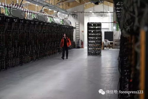 Expansive mining farm lined with active mining devices