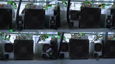 A modern mining farm with rows of miners racked neatly.