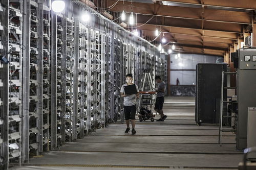 Close up view of the powerful ASIC chips on a mining rig